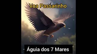 Voa Passarinho Águia dos 7 Mares [upl. by Priscella161]