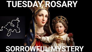 PRAY THE ROSARY TODAY TUESDAY ROSARY 2024 [upl. by Puiia855]