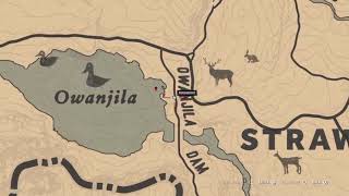 Where to find Common Loon Location rdr2 quick easy loon locations [upl. by Ennovyhs]