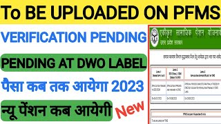 Account ReVerification Pending At DWO Label  To be uploaded on PFMS New Pension Kab Aayegi [upl. by Yecrad]