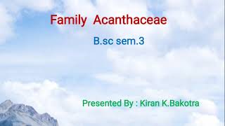 family Acanthaceae Bsc semester 3 [upl. by Kimitri]