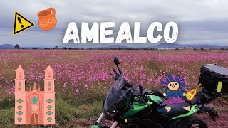 Me ESCAPO a un PUEBLO MAGICO lleno de mirasoles por un pan  AMEALCO QUERETARO en MOTO por México [upl. by Adnyleb]