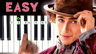 Pure Imagination  Wonka  EASY PIANO TUTORIAL For Beginners [upl. by Gideon]