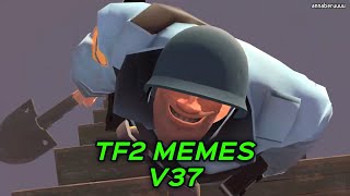 TF2 MEMES V37 [upl. by Yager]