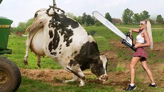 Thrilling Farm Adventures Chainsaw Cow Milking Feeding and DIY Tree Cutting [upl. by Addie]