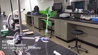 Transpiration Part 1 Setting up the Potometer [upl. by Tyree539]