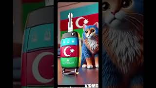 kesfet シ cat keşfet kesfet kedi [upl. by Negrom]