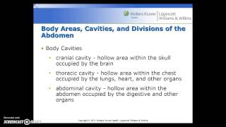 Medical Terminology  Chapter 3  Live Lecture Part 1 [upl. by Uokes]