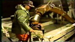 Seining Grand Manan Island 1993 Part 1 [upl. by Padraic]