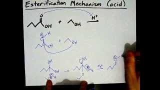 How to Make Esters Mechanism [upl. by Orville]