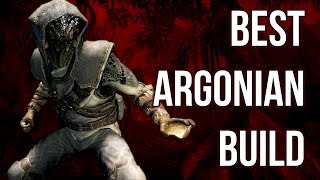 The Wanderer  Best Argonian Build  Skyrim Builds [upl. by Araihc]