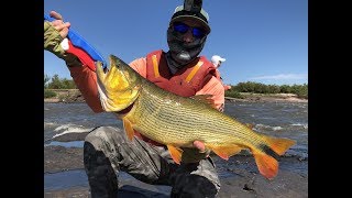 Pesca de Dorados con señuelo en Palmar Uruguay GoPro HD [upl. by Nnayelsel]