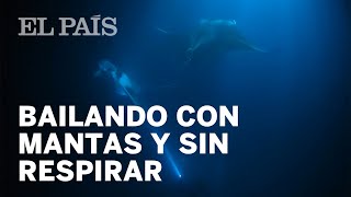 Bailando con mantarrayas a 25 metros de profundidad y sin respirar Viral [upl. by Yuri]