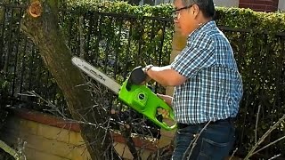 Electric Chainsaws Cordless vs Corded Ryobi vs Harbor Freight [upl. by Larred]