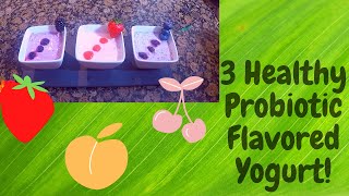 3 Flavored HEALTHY YOGURT With 3 Ingredients NO Sugar Lockdown Recipies [upl. by Annyl]