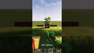 Minecraft 120 Bedrock and Java edition TikTok HacksThat Actually Work shorts subscribe [upl. by Ventre]