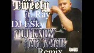 Lil Tweety Ft Ray  Set You Free Instrumental Remix DJ ESky [upl. by Toombs]