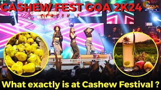 MustWatch What exactly is at Cashew Festival [upl. by Pelaga]