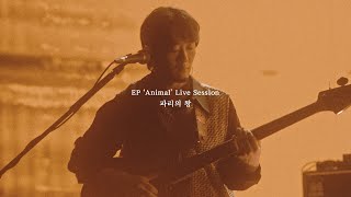 쏜애플THORNAPPLE 파리의 왕 EP Animal Live Session [upl. by Sirois]