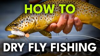 Beginners Guide to Dry Fly Fishing — 6 Steps to Success  Module 6 Section 2 [upl. by Nwhas]