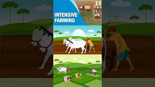 Meaning amp Characteristics of Intensive Subsistence Farming  shorts geography upsc farming [upl. by Raimund]