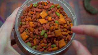 ASMR Whiskas cat food  ocean fish flavour [upl. by Wall98]