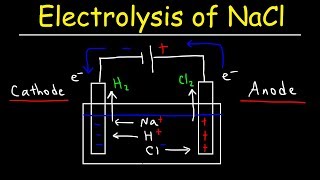 Electrolysis of Sodium Chloride  Electrochemistry [upl. by Rebme939]