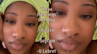 Three Piercings In One Day Nostril  Septum  Vertical Labret [upl. by Amalle]