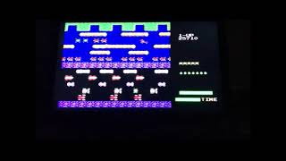 Sega FROGGER 117000 Points  World Record [upl. by Nylhsa345]