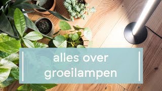 Dit moet je weten over groeilampen voor je planten [upl. by Luapleahcim]