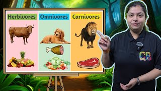 Herbivores Omnivores and Carnivores Animals  Eating Habits of Animals  Learn What Animals Eat [upl. by Ayikahs]