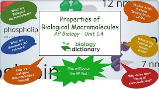 Properties of Biological Macromolecules  AP Biology 14 [upl. by Oner]