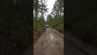 Range Rover Velar and Subaru Forester in mud [upl. by Ahsertal]