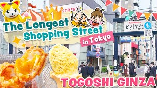 Tokyo Street Food Tour at Togoshi Ginza  Japan Local Shopping Street [upl. by Chrysler697]