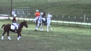 Polocrosse Training 1 In The End Zone Part 2 of 3 [upl. by Meehaf]