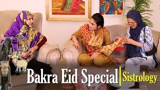 Bakra Eid Special  Sistrology  ftiqra kanwal  hira  fatima [upl. by Almire]