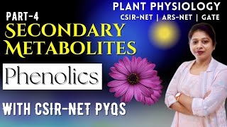 Secondary Metabolites 4  Phenolics Secondary Metabolites  Secondary Metabolites in Plants  PYQs [upl. by Perretta]