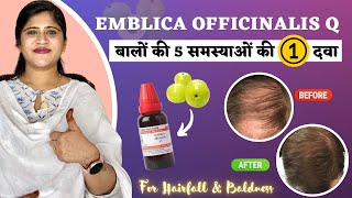 One Homeopathic medicine for 5 Hair Problems  आँवला से बनी दवा  Emblica Officinalis Q [upl. by Vail]