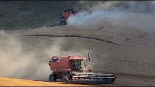 Dusty day harvesting the hils [upl. by Faunie]