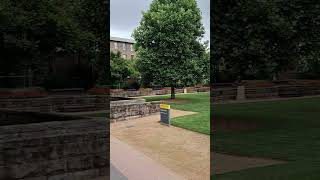 Main Library UNSW Sydney [upl. by Murdock511]