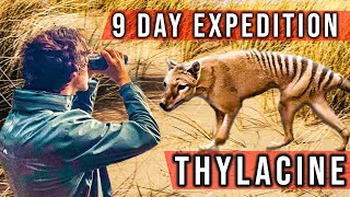 Expedition to Find The Tasmanian Tiger Thylacine [upl. by Hanafee]