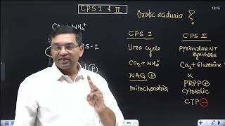 Link between Urea cycle and Pyrimidine NT synthesis  CPS 1 and 2 Orotic aciduria in Type 2 UCD [upl. by Llehcram]