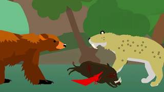 Smilodon Populator vs Amphicyion Ingens animals paleontology 1v1 fyp [upl. by Netsriik]