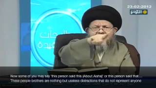 Imam Alis words on Aisha  S Kamal Haidari ENG SUB [upl. by Saiff154]