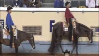 Extremely Hot Chips  AQHA World Show [upl. by Aylward]