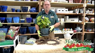 Holdridge Home amp Garden Repotting Demo [upl. by Eelrahc]