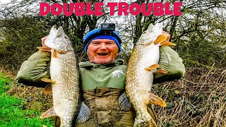 Float fished dead baiting for Pike on the drains  Double trouble [upl. by Millicent]