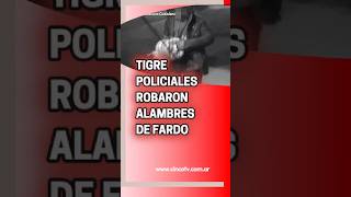 🔴🚨dos malvivientes que robaron alambres de fardo🚨 tigre noticias parati argentina videoviral [upl. by Primaveras173]