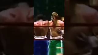 Jerry Quarry KOs Earnie Shavers shorts boxing highlights [upl. by Seymour]