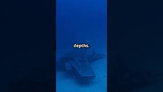 First Solo Dive to Challenger Deep [upl. by Aceissej]